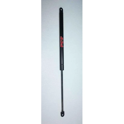 Lift Support by FCS AUTOMOTIVE - 84670 pa1