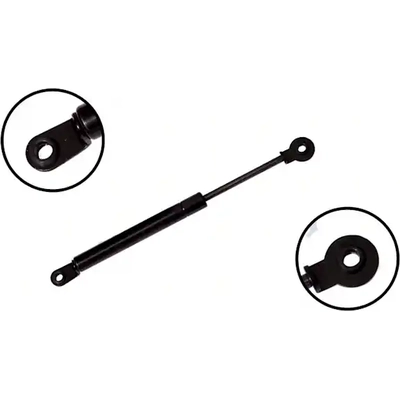 Lift Support by FCS AUTOMOTIVE - 84679 pa2