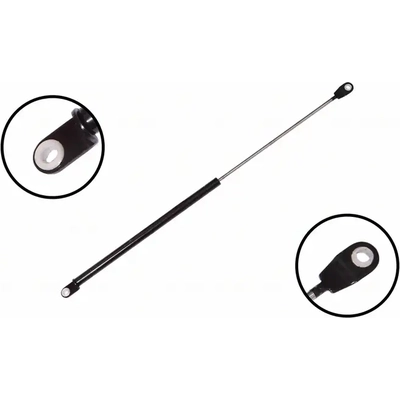 FCS AUTOMOTIVE - 84789 - Lift Support pa2