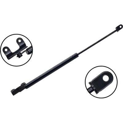 Lift Support by FCS AUTOMOTIVE - 84813 pa2
