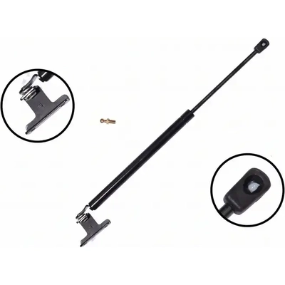 Lift Support by FCS AUTOMOTIVE - 84816 pa2