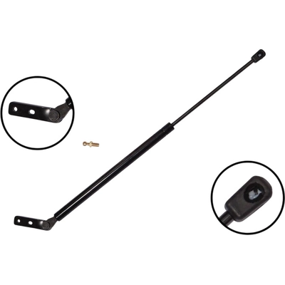 Lift Support by FCS AUTOMOTIVE - 84869L pa2