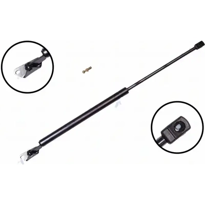 Lift Support by FCS AUTOMOTIVE - 84951L pa5