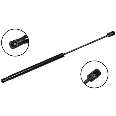 FCS AUTOMOTIVE - 86161 - Tailgate Lift Support pa1