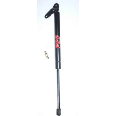 Lift Support by FCS AUTOMOTIVE - 86191R pa1