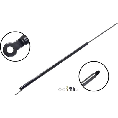 Lift Support by FCS AUTOMOTIVE - 86229 pa2