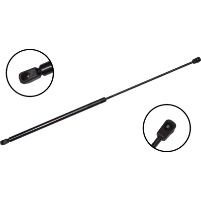 Lift Support by FCS AUTOMOTIVE - 86655 pa5