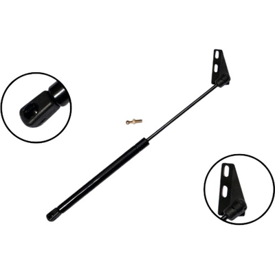 Lift Support by FCS AUTOMOTIVE - 86715 pa6