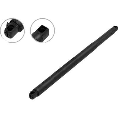 Lift Support by FCS AUTOMOTIVE - 89009R pa1