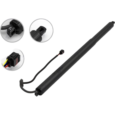 Lift Support by FCS AUTOMOTIVE - E89006 pa1