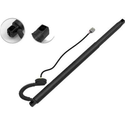 Lift Support by FCS AUTOMOTIVE - E89009L pa1