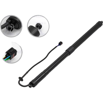 Lift Support by FCS AUTOMOTIVE - E89026 pa1