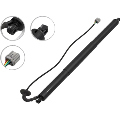 Lift Support by FCS AUTOMOTIVE - E89043L pa1