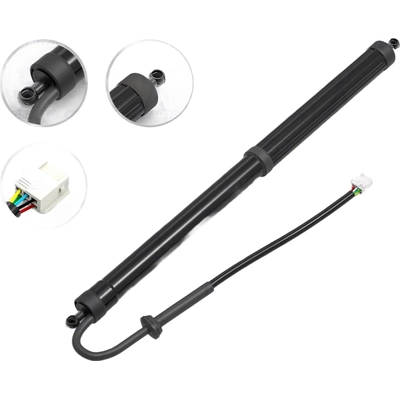 Lift Support by FCS AUTOMOTIVE - E89075R pa1
