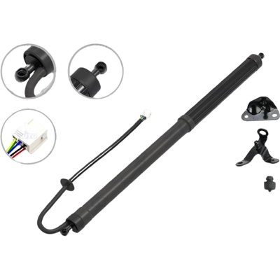Lift Support by FCS AUTOMOTIVE - E89100L pa1