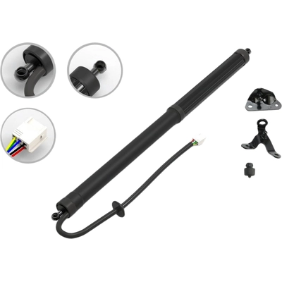 Lift Support by FCS AUTOMOTIVE - E89100R pa1