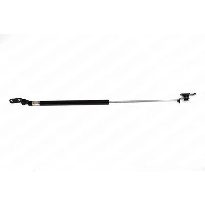 LESJOFORS - 8162003 - Lift Support pa1