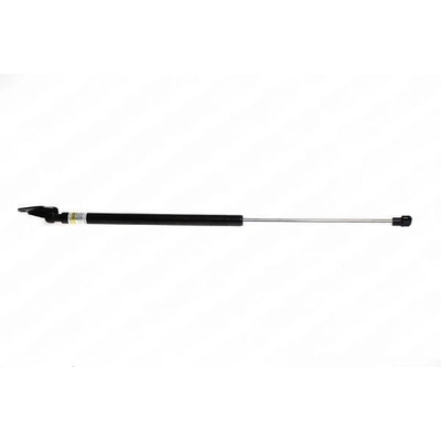 LESJOFORS - 8162042 - Lift Support pa1