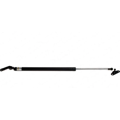 LESJOFORS - 8192544 - Lift Support pa2