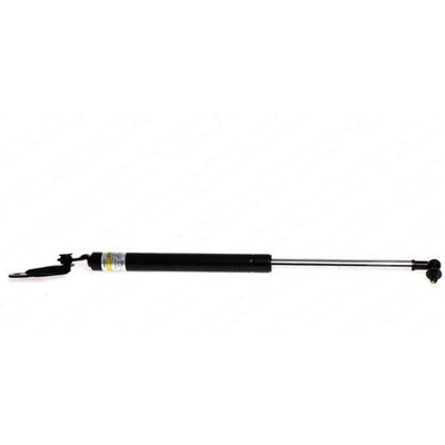 LESJOFORS - 8192562 - Lift Support pa2