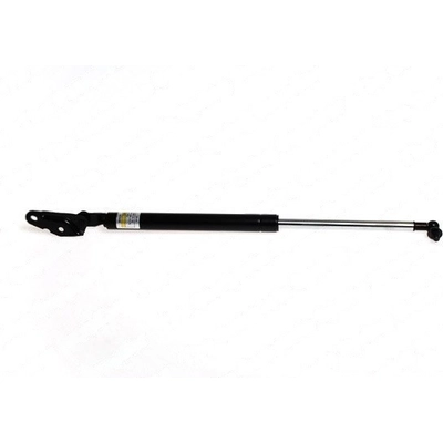 LESJOFORS - 8192563 - Lift Support pa2