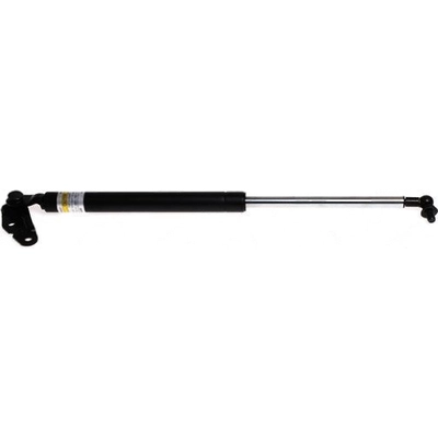 LESJOFORS - 8192565 - Lift Support pa2