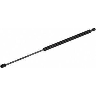 Lift Support by MONROE/EXPERT SERIES - 900003 pa4