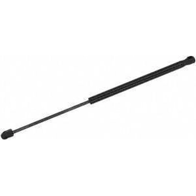 Lift Support by MONROE/EXPERT SERIES - 900230 pa2