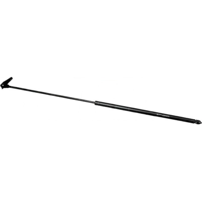 Lift Support by MONROE/EXPERT SERIES - 901354 pa6