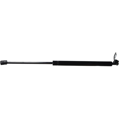 MONROE/EXPERT SERIES - 901638 - Lift Support pa3