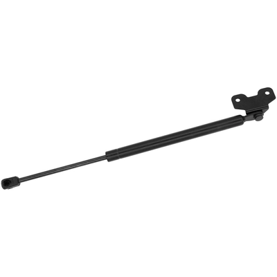 Lift Support by MONROE/EXPERT SERIES - 901670 pa3