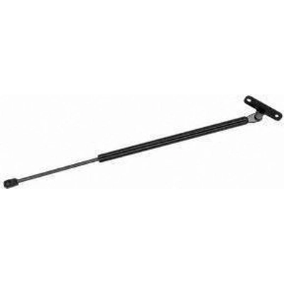 Lift Support by MONROE/EXPERT SERIES - 901683 pa1