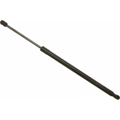 Lift Support by SACHS - SG229039 pa2