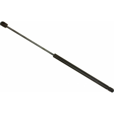 Lift Support by SACHS - SG304014 pa2