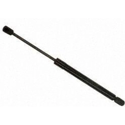 Lift Support by SACHS - SG304046 pa1