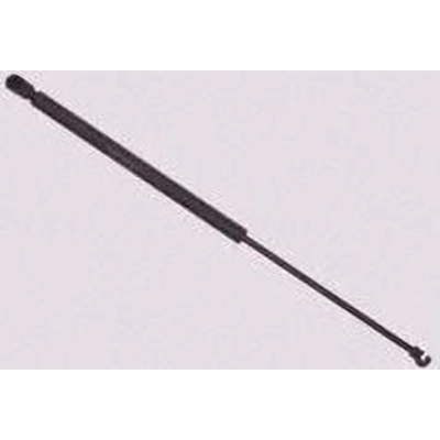 Lift Support by SACHS - SG315007 pa1