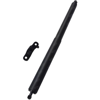 SKP - SKPL615032 - Liftgate Lift Support pa2