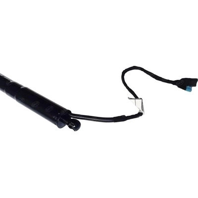 SKP - SKPL615043 - Right Liftgate Lift Support pa2