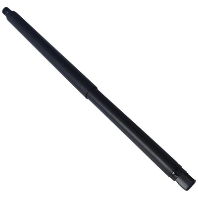 SKP - SKPL615051 - Liftgate Lift Support pa1