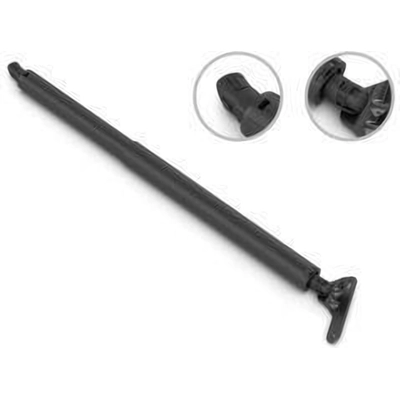 Lift Support by STABILUS - 4C019287 pa1