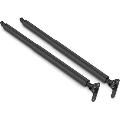Lift Support by STABILUS - 4C042069 pa2