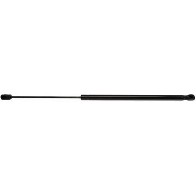 Lift Support by STRONG ARM - C7073 pa1