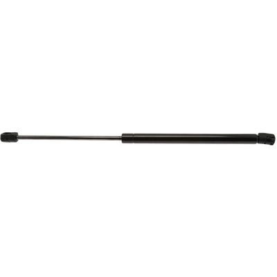 STRONG ARM - D6778 - Liftgate Lift Support pa1