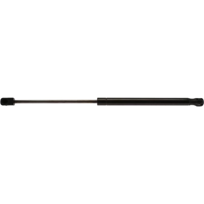 Lift Support by STRONG ARM - D7173 pa1