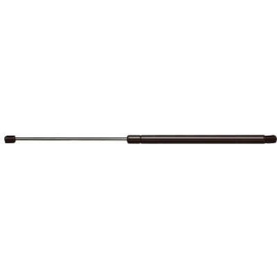 Lift Support by STRONG ARM - GL2010 pa1