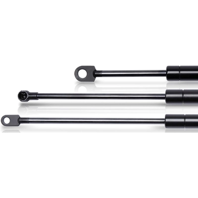 TRW AUTOMOTIVE - TSG226024 - Hatch Lift Support pa2