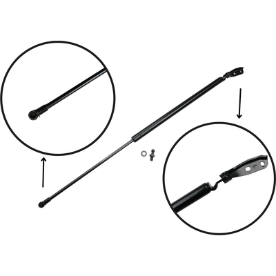 TUFF SUPPORT - 610762 - Lift Support pa6