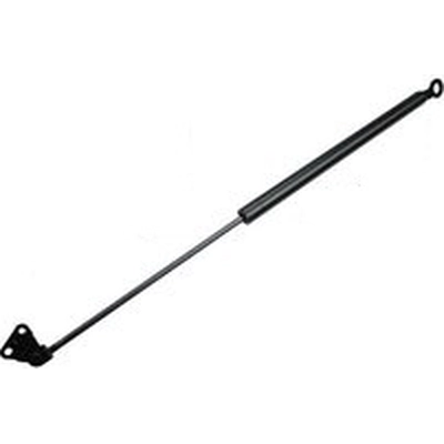 Lift Support by TUFF SUPPORT - 610817 pa4