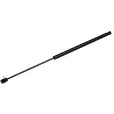 TUFF SUPPORT - 611226 - Liftgate Lift Support pa2