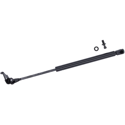 Lift Support by TUFF SUPPORT - 613561 pa2